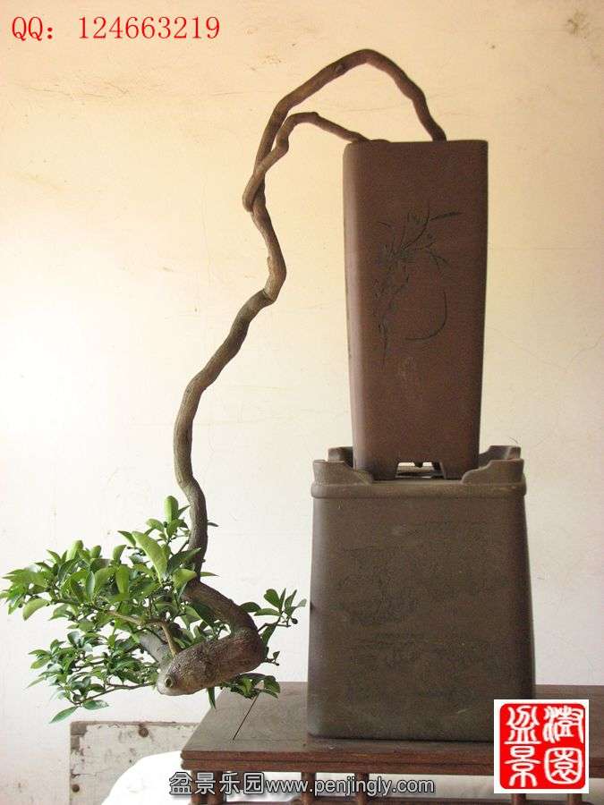 IMG_1746___.jpg