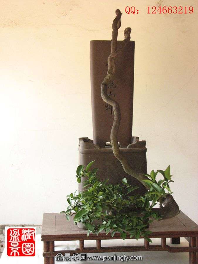 IMG_1749__.jpg