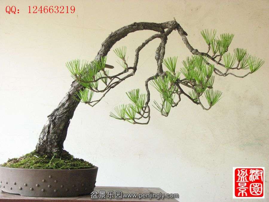 IMG_1756__.jpg