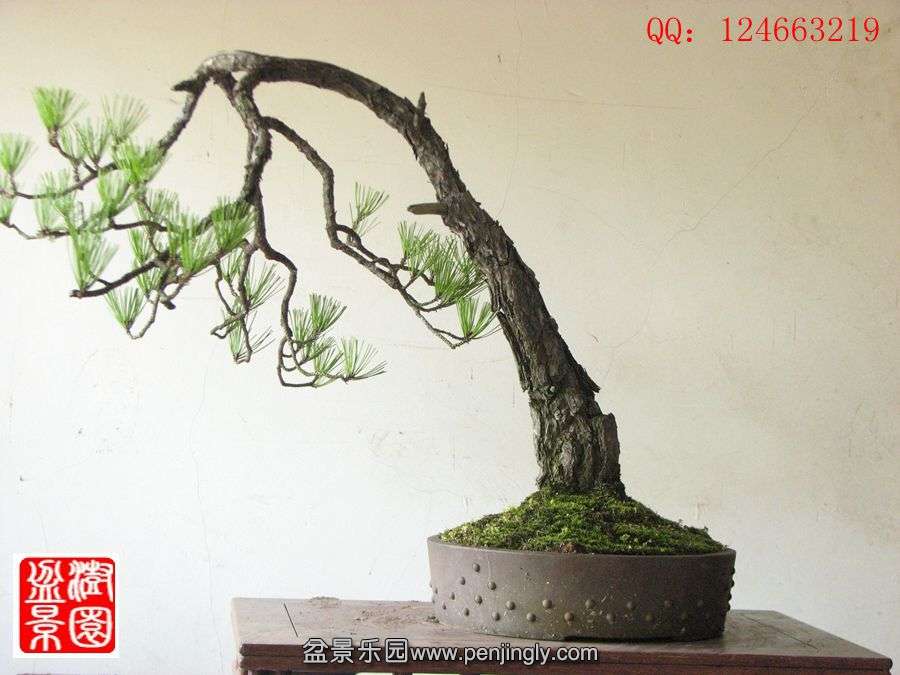 IMG_1758__.jpg