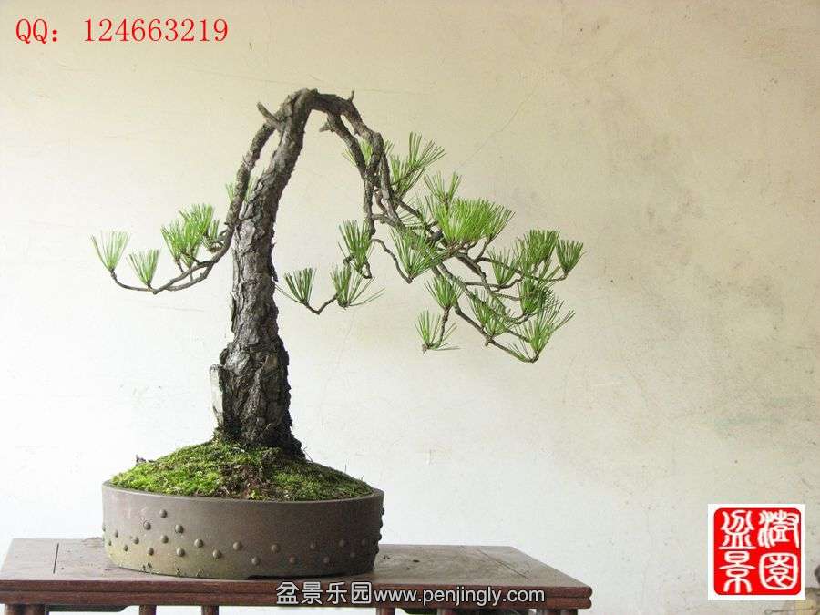 IMG_1760__.jpg