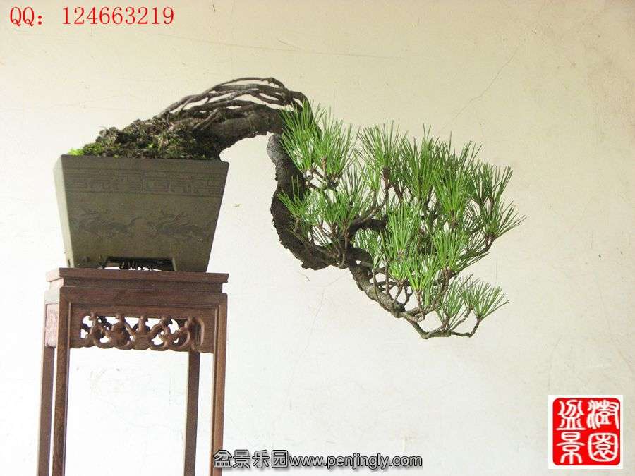 IMG_1762__.jpg