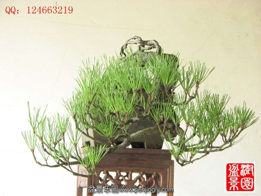 IMG_1764__.jpg
