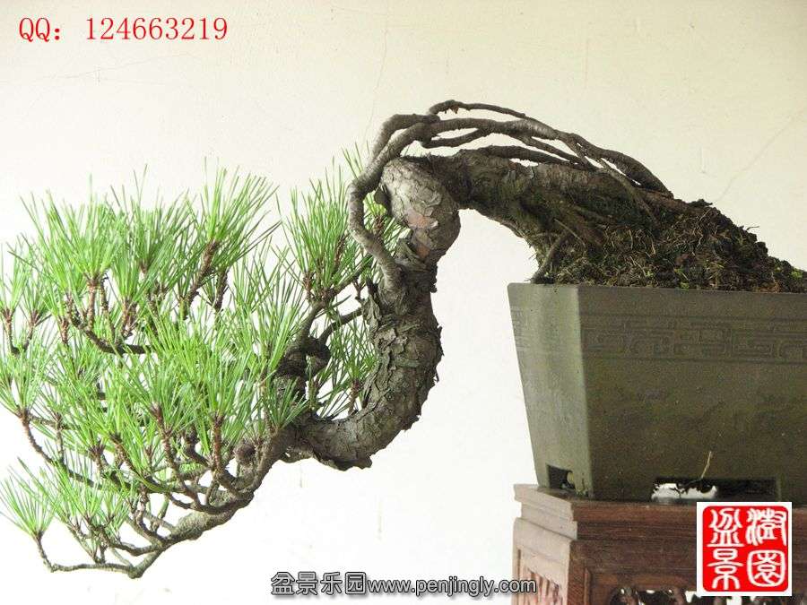 IMG_1766__.jpg