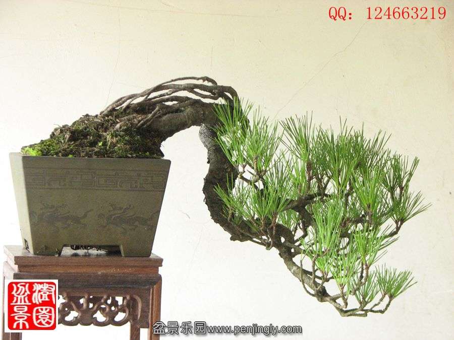 IMG_1768__.jpg