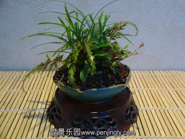 DSC01711.JPG