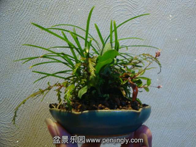 DSC01714.JPG