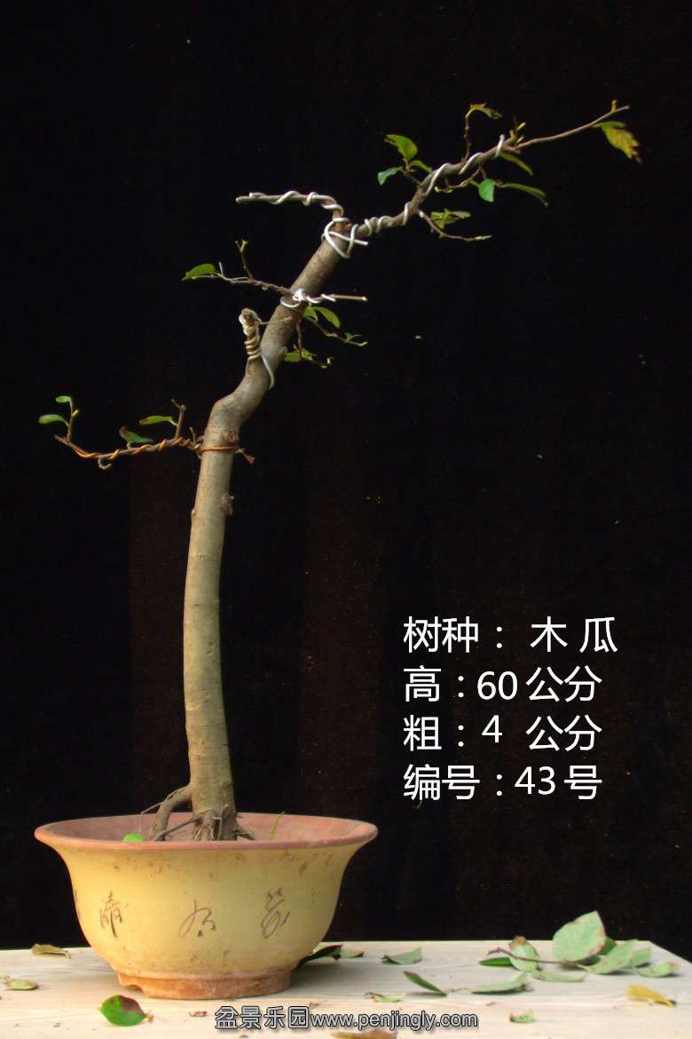 GEDC1809.jpg