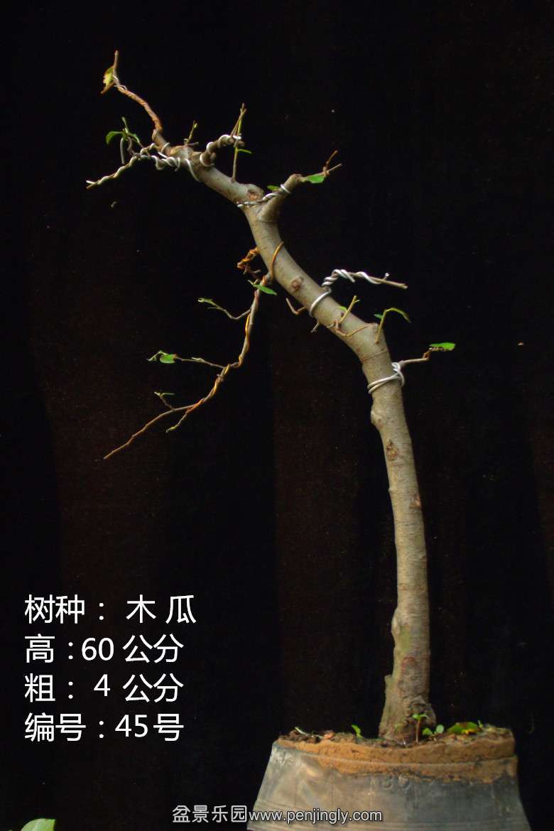 GEDC1812.jpg