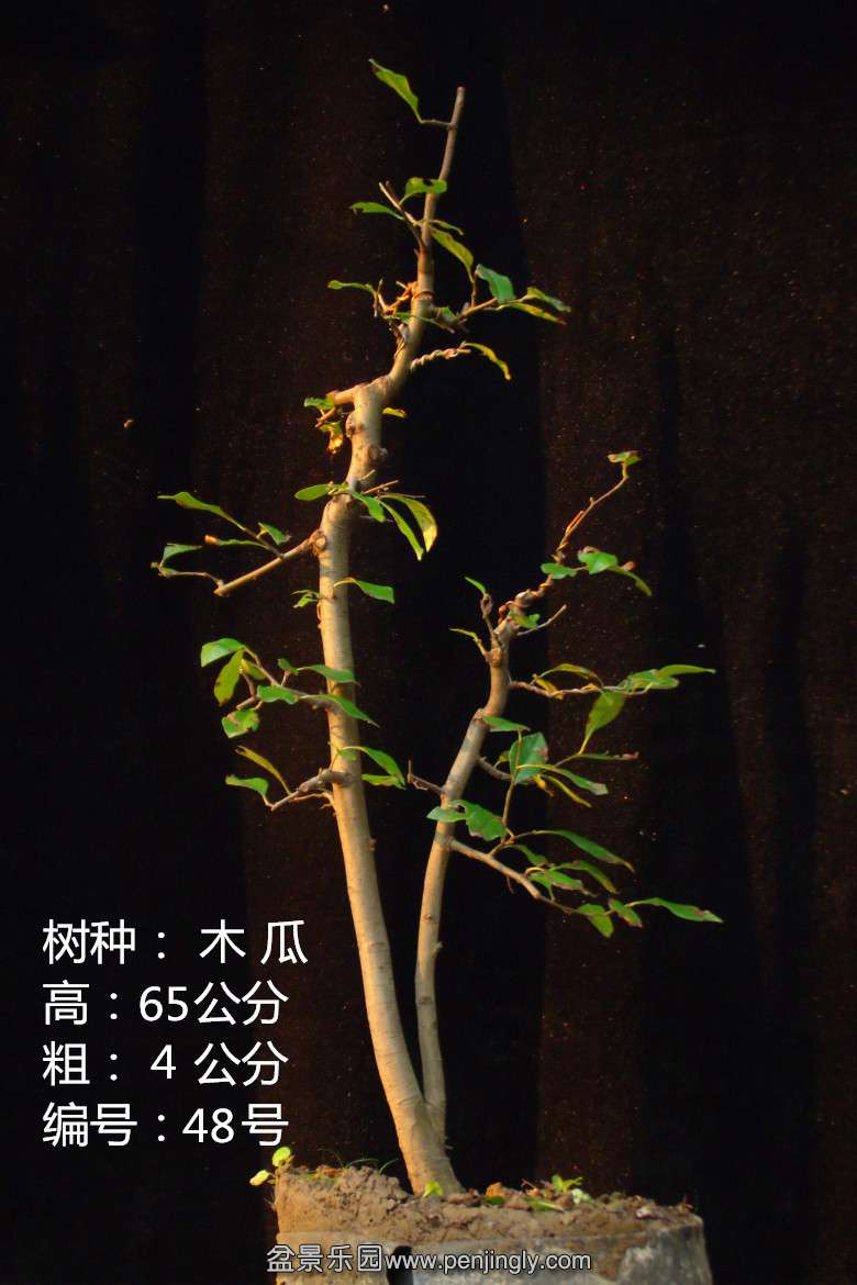 GEDC1819.jpg