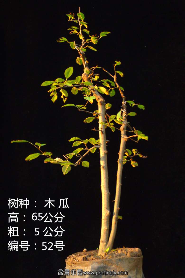 GEDC1827.jpg