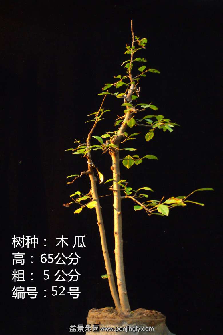 GEDC1828.jpg