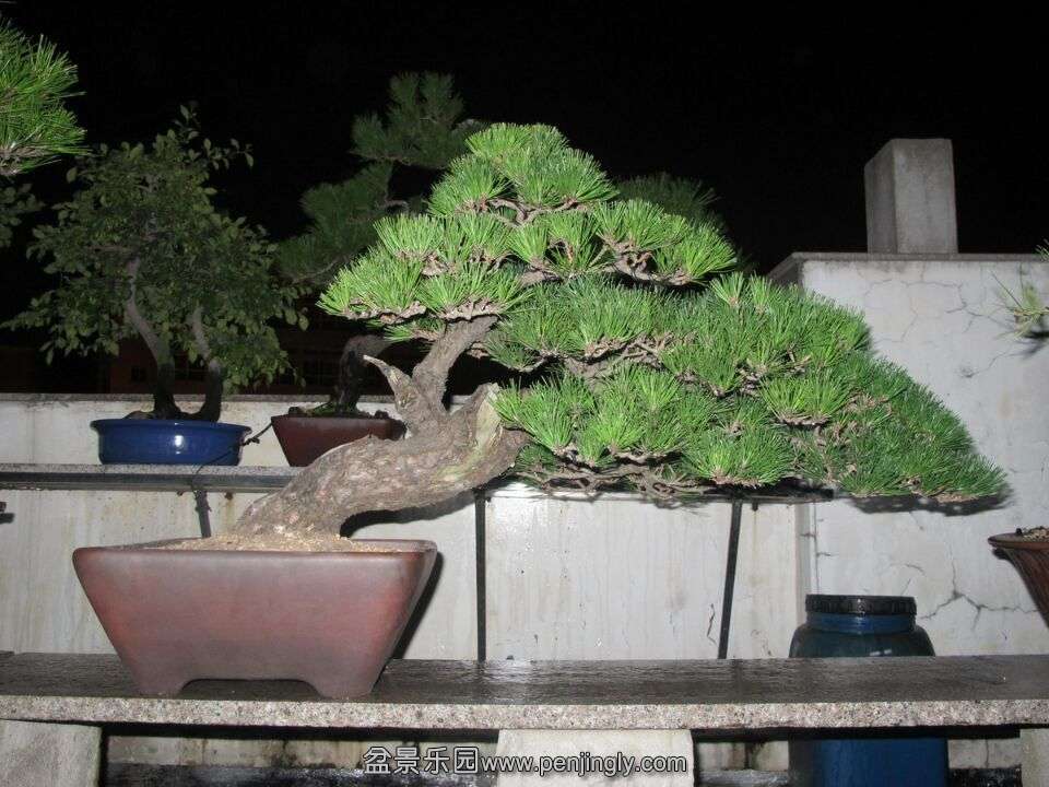 ˮ2.jpg