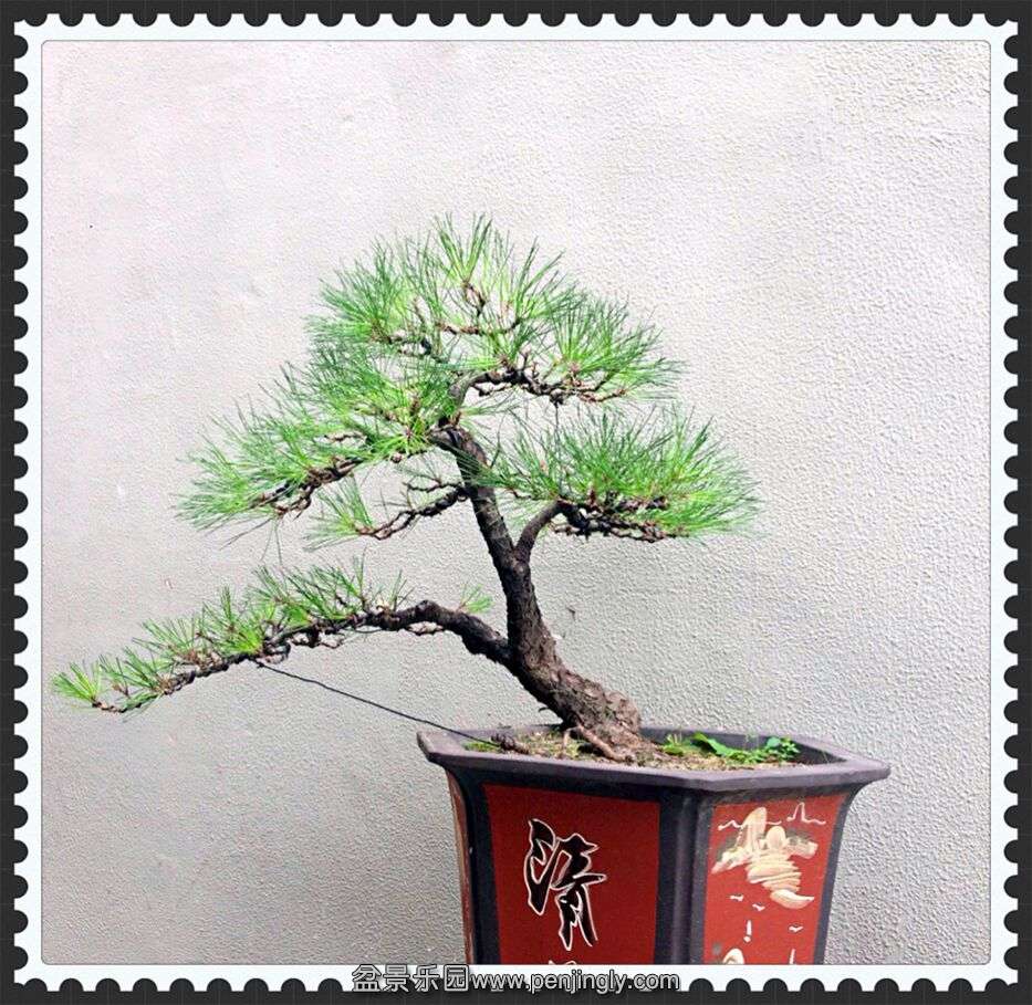 QQͼƬ20150913195109.jpg