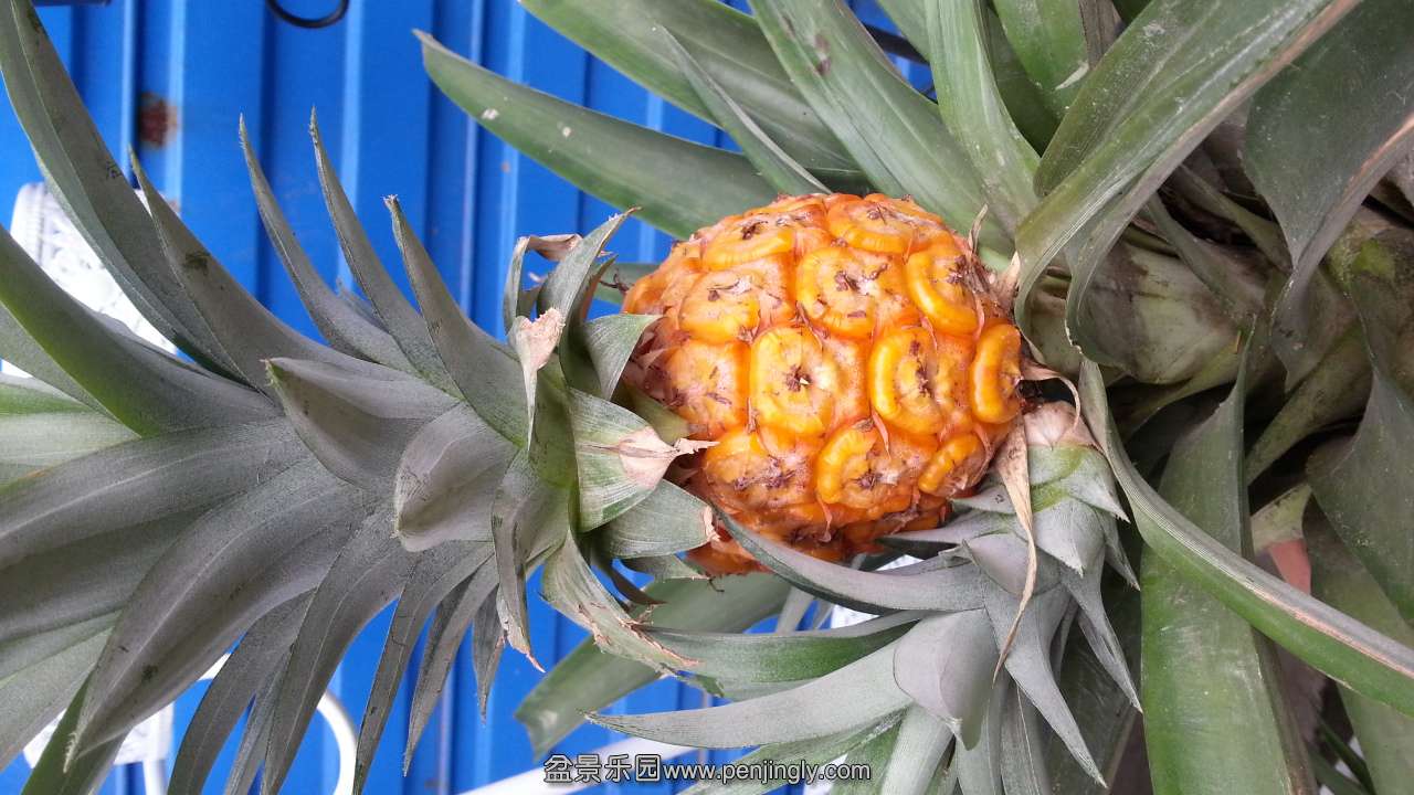 20150913_155701.jpg
