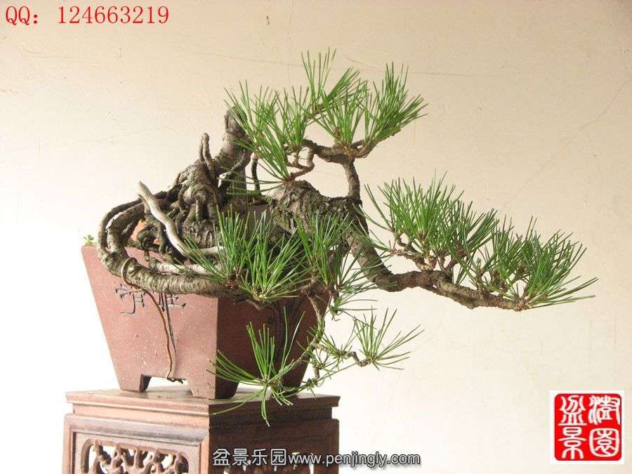 IMG_1773__.jpg