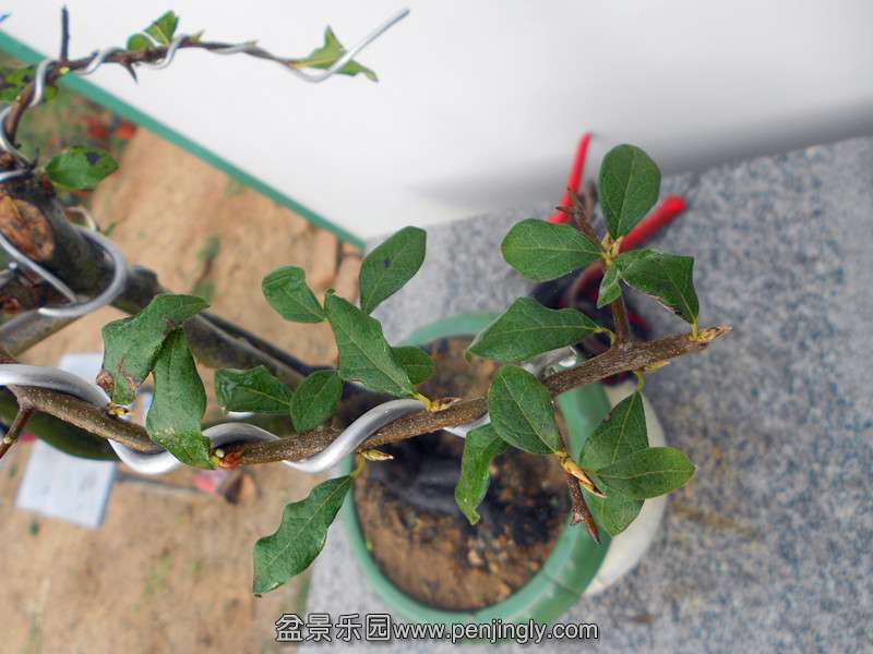 DSCN2756_.jpg