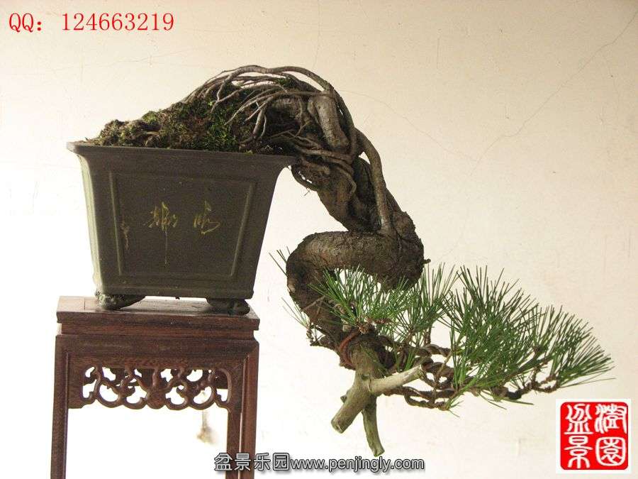 IMG_1780__.jpg