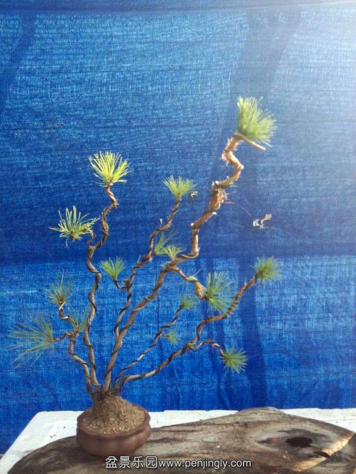 QQͼƬ20150915085016.jpg