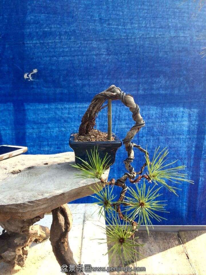 QQͼƬ20150915085013.jpg