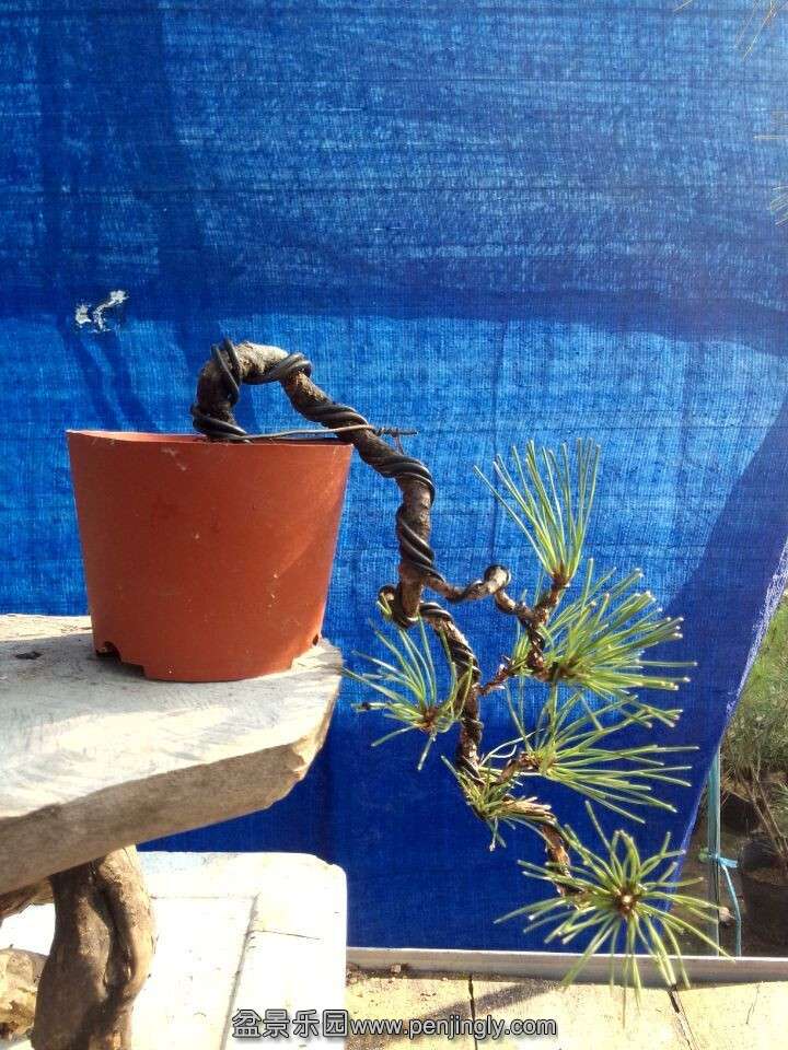 QQͼƬ20150915085009.jpg