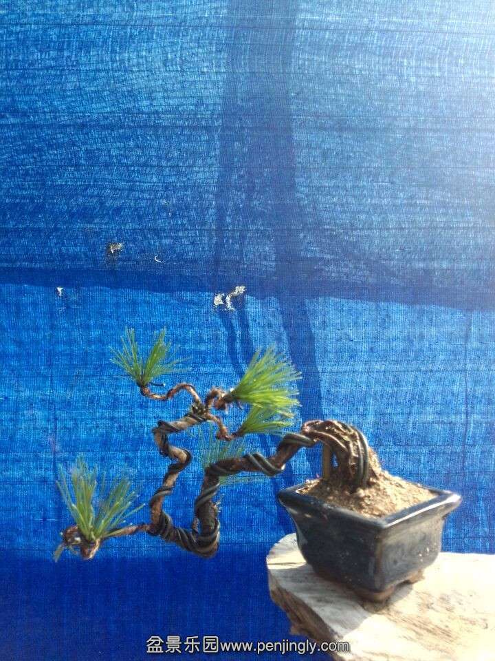 QQͼƬ20150915085002.jpg
