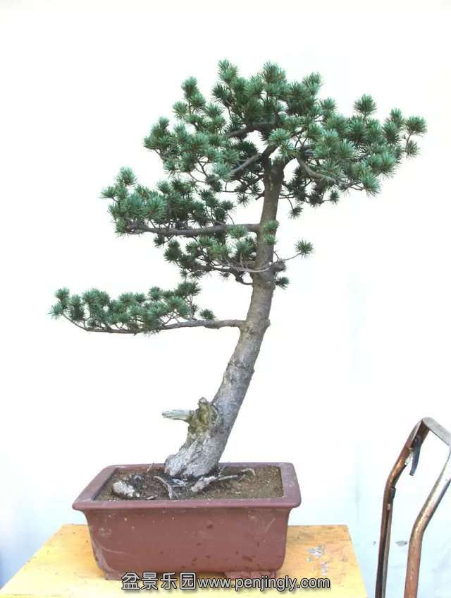 psb (12).jpg