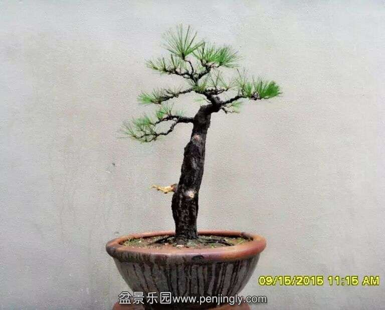 QQͼƬ20150915220507.jpg