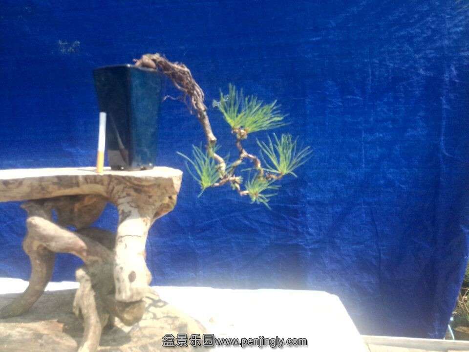 QQͼƬ20150916120910.jpg