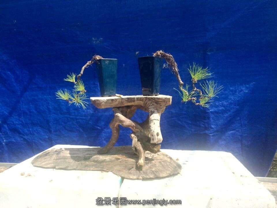 QQͼƬ20150916120903.jpg