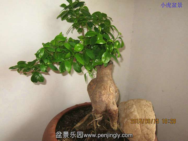Ƭ 005.jpg