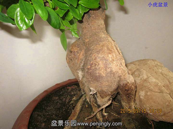Ƭ 006.jpg