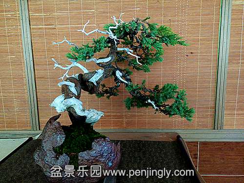 IMG_20150911_105455_.jpg