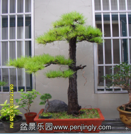 QQͼƬ20150917231238.png