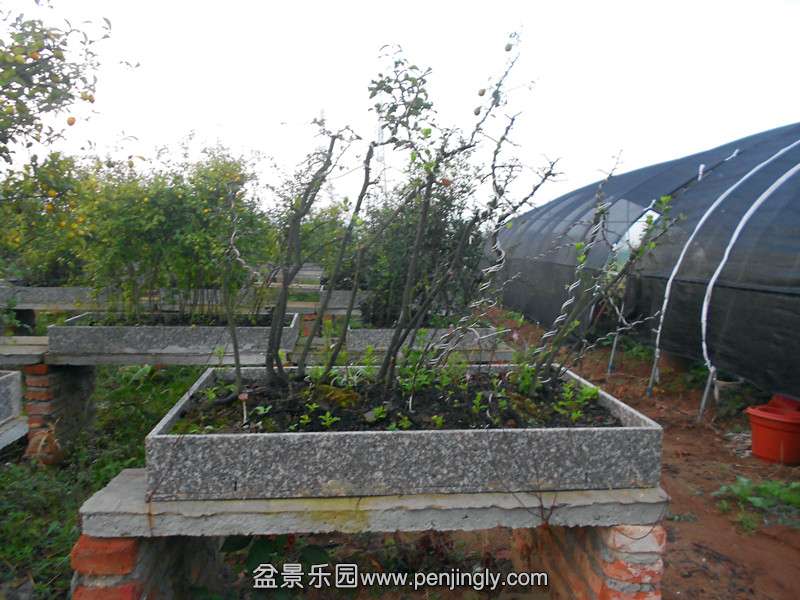 DSCN2786_.jpg