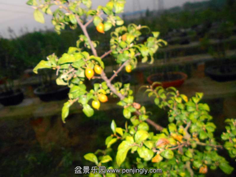 DSCN2758_.jpg