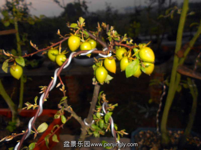 DSCN2767_.jpg