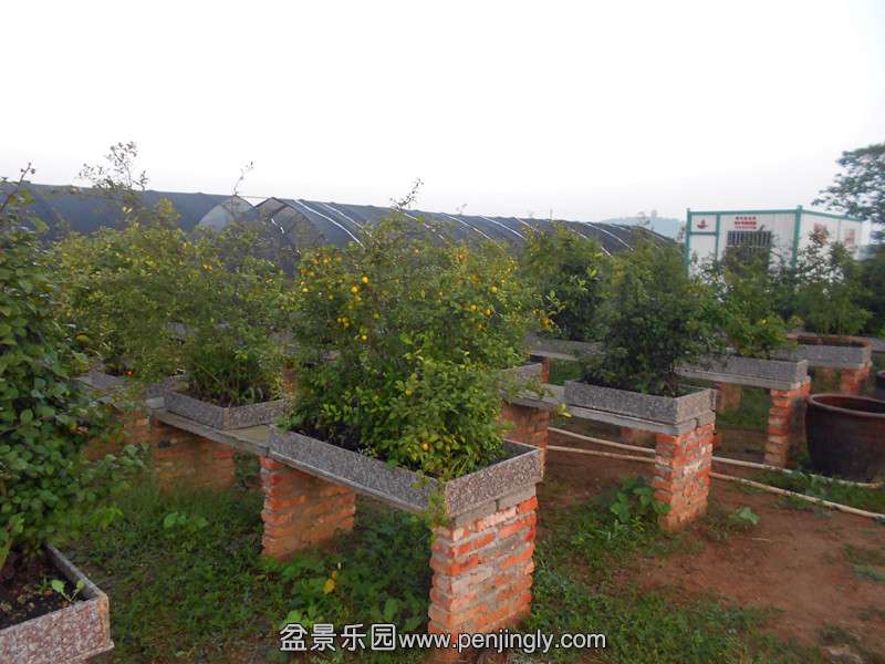 DSCN2775_.jpg