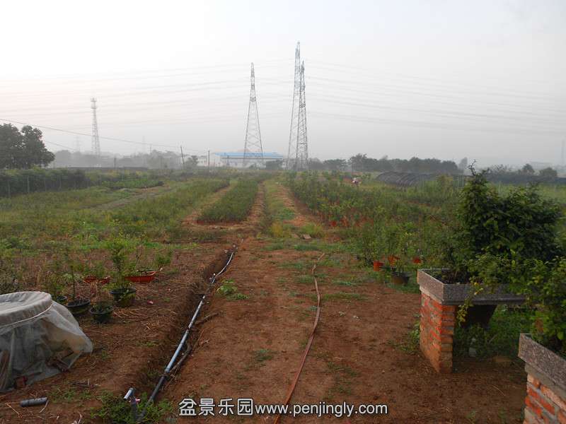 DSCN2779_.jpg