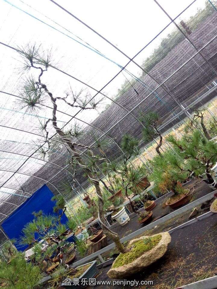 QQͼƬ20150919080618.jpg