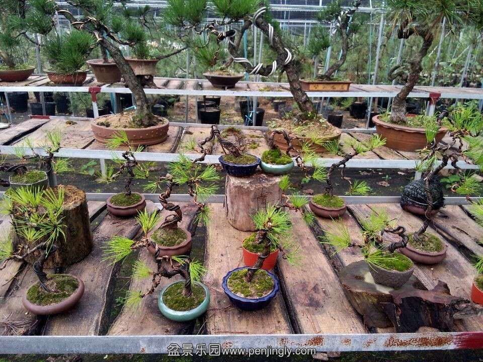QQͼƬ20150919080610.jpg