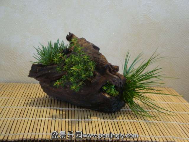 DSC01739.JPG