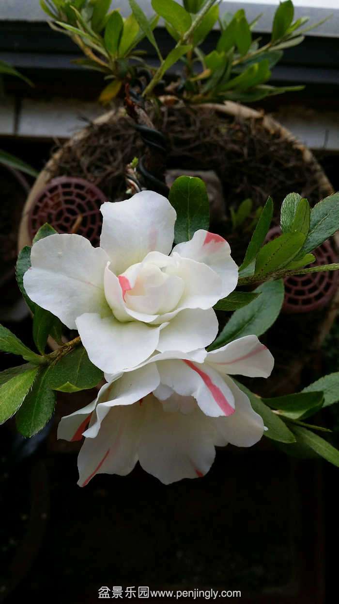 20150406_173850.jpg