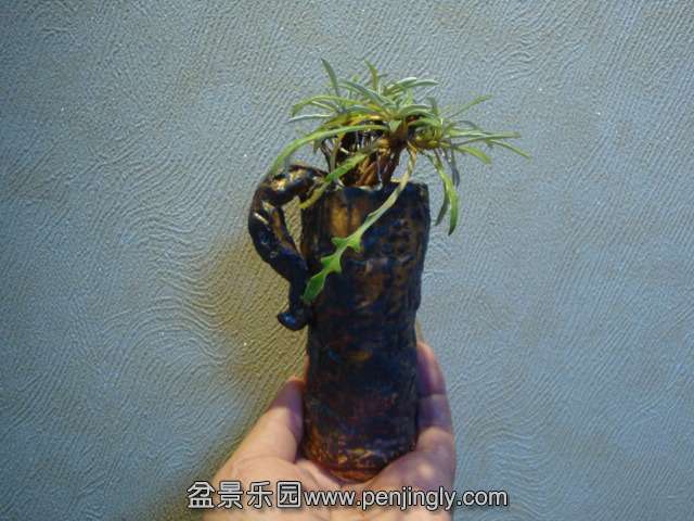 DSC01750.JPG