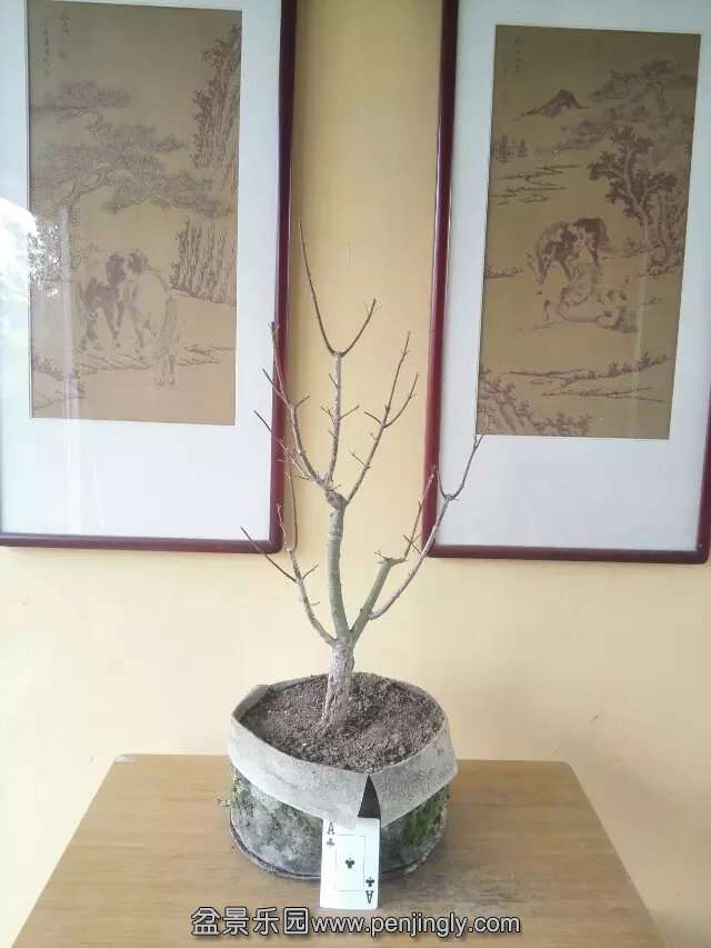 psb (8).jpg