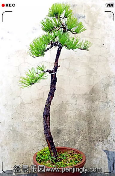 QQͼƬ20150922200207.png