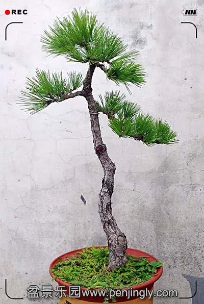 QQͼƬ20150922200251.png