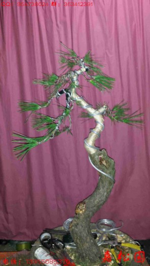 20150926_213810.jpg