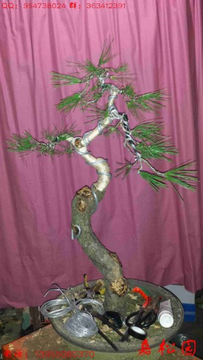 20150926_213843.jpg