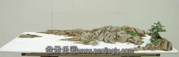 IMGP5229_conew1.jpg